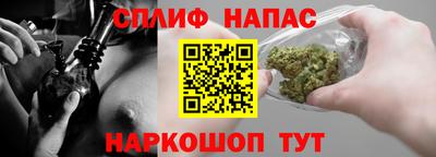 прущие грибы Апшеронск