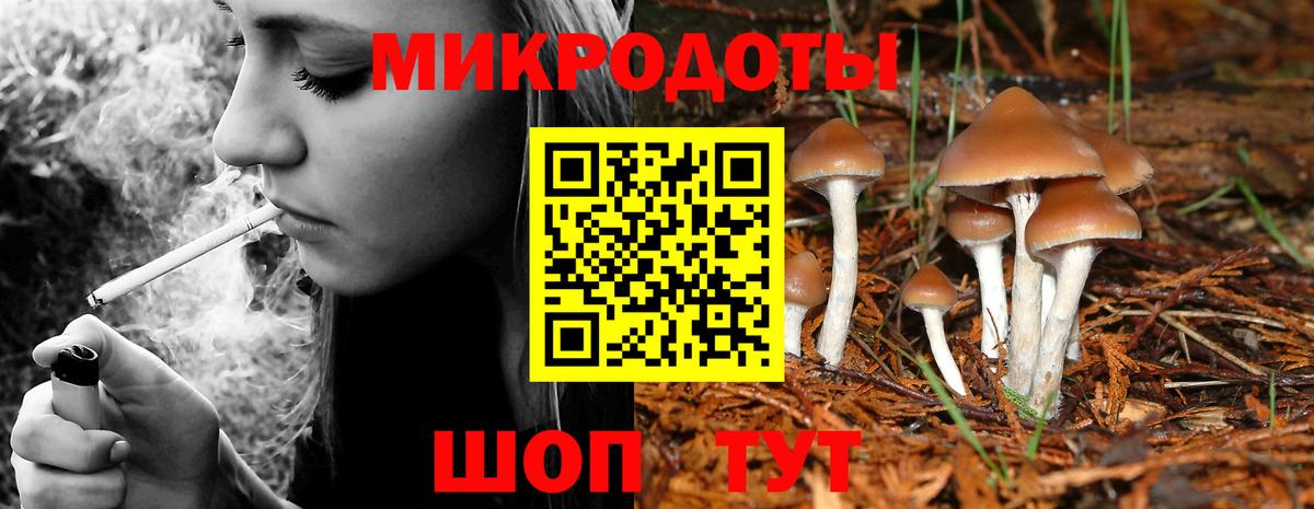 закладка  Псилоцибиновые грибы Psilocybe  Вход с VPN  Благодарный 